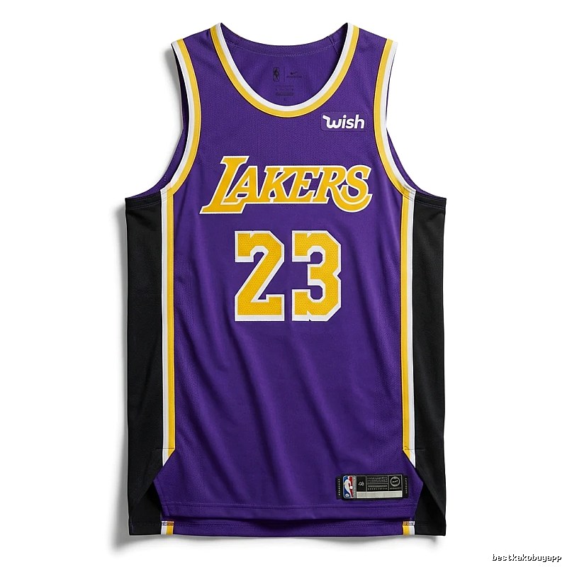 LBJ Lakers retro purple jersey