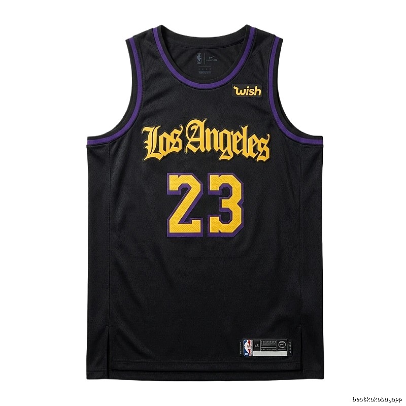 LBJ No.23 black-purple basketball jersey