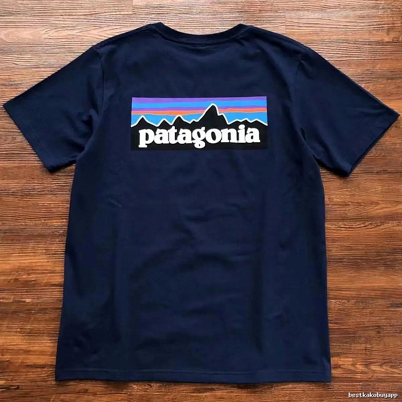Patagonia Navy Logo T-Shirt City Outfit Graphic