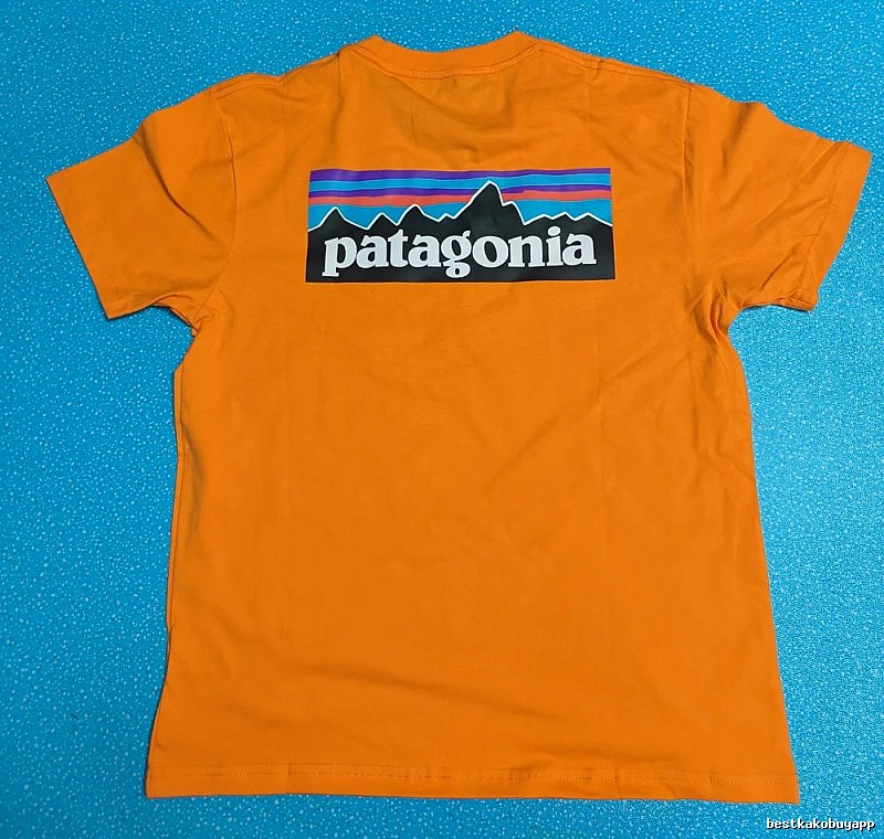 Patagonia Orange Logo T-Shirt Logo Detail Graphic