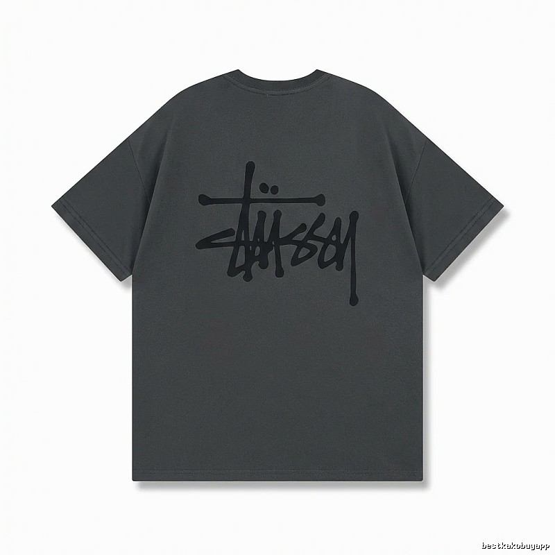Stussy basic street style gray T-shirt